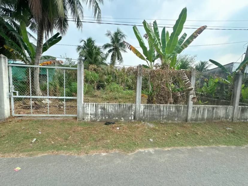Cho thuê 300m2 đất mặt tiền đường xe container tại Mỏ Cày Bắc