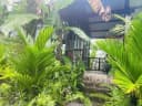 Thumb-Bán Nhà riêng 1400m2 giá 6 tỷ 500 chính cần bán gấp ạ Chọn - Xã Bình Châu Huyện Xuyên Mộc Bà Rịa - Vũng Tàu-2