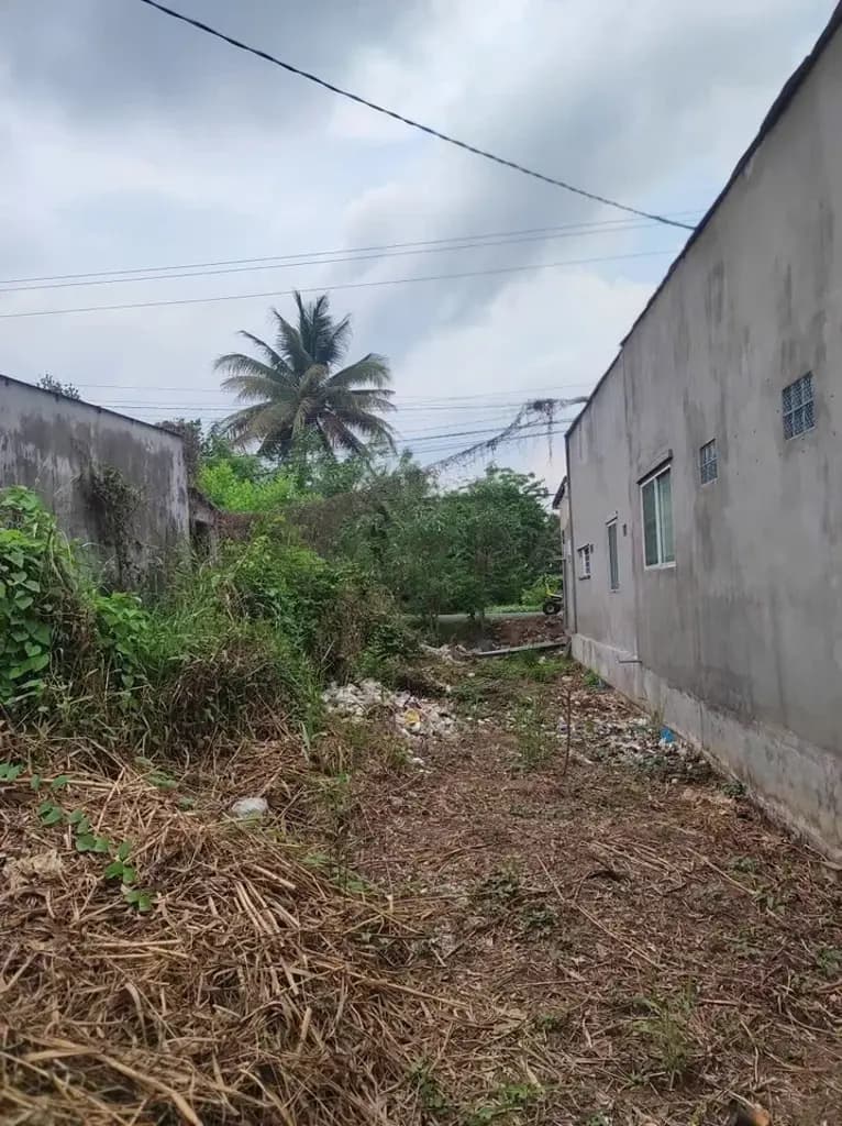 Main-Bán đất thổ cư mặt tiền 8,3x68m - Xã Tân Phú Trung, Châu Thành, Đồng tháp. Chốt giá cực tốt - 3 Tỷ (Giá Thương lượng)-1