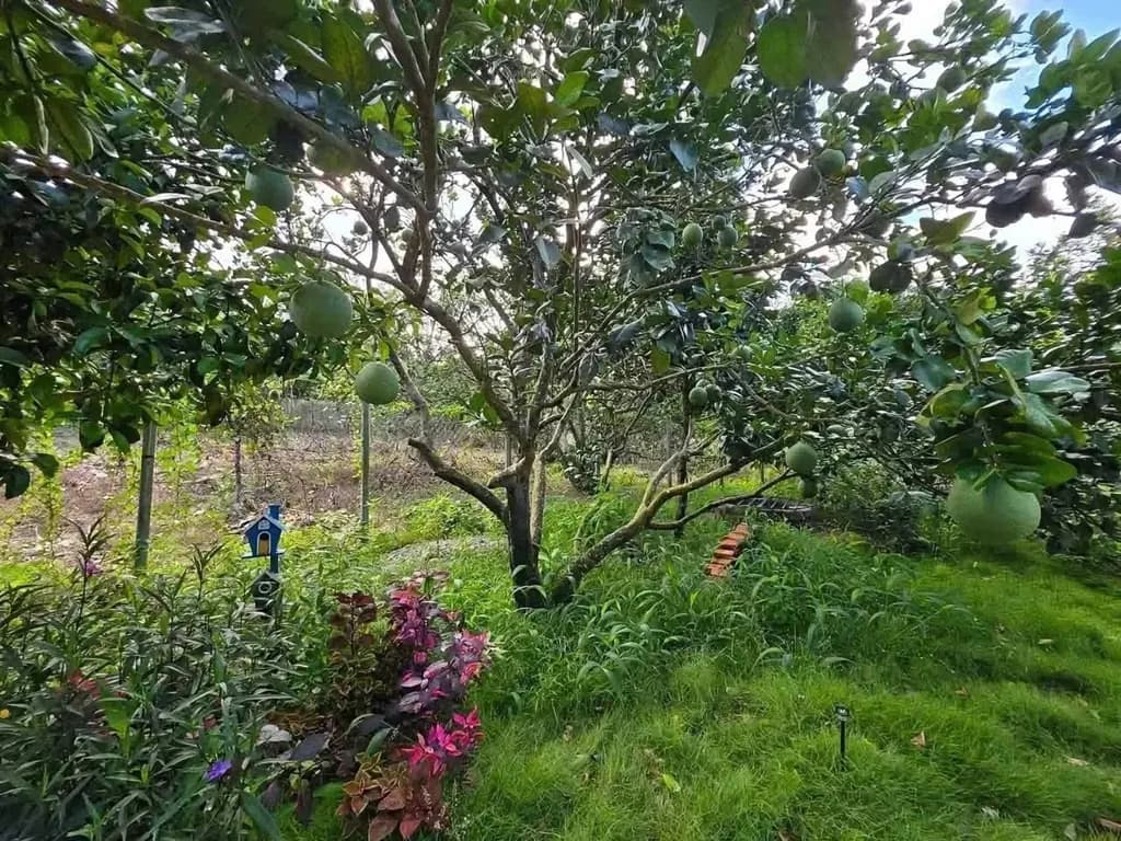 Main-Bán Đất 1700m2 có sẵn 100 m2 thổ cư giá 585 triệu tại Đường DH507-3