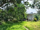 Thumb-Bán Đất 1700m2 có sẵn 100 m2 thổ cư giá 585 triệu tại Đường DH507-1