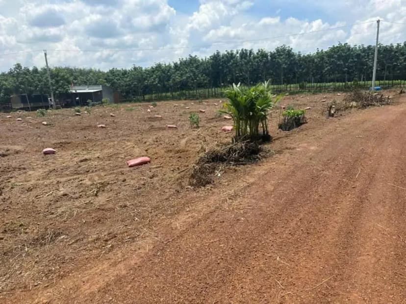 Bán Đất vườn 2 mặt tiền 4000m2 giá 490 triệu tại Đường DH507 Xã An Thái Huyện Phú Giáo Bình Dương