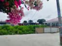 Thumb-Lô đất Nguyễn Thị Thử, 2 mặt tiền 5,5x18m xã XTS, Hóc Môn, Giá 2,75 Tỷ-1