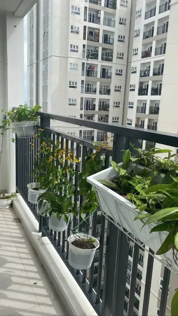 Main-CHO THUÊ CHUNG CƯ RICHMOND CITY, 52M2 FULL NT, Ở NGAY-4