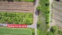 Thumb-Bán Đất 500m2 giá 390 triệu tại Kênh Mới Xã Thạnh Lợi Huyện Bến Lức Long An-4