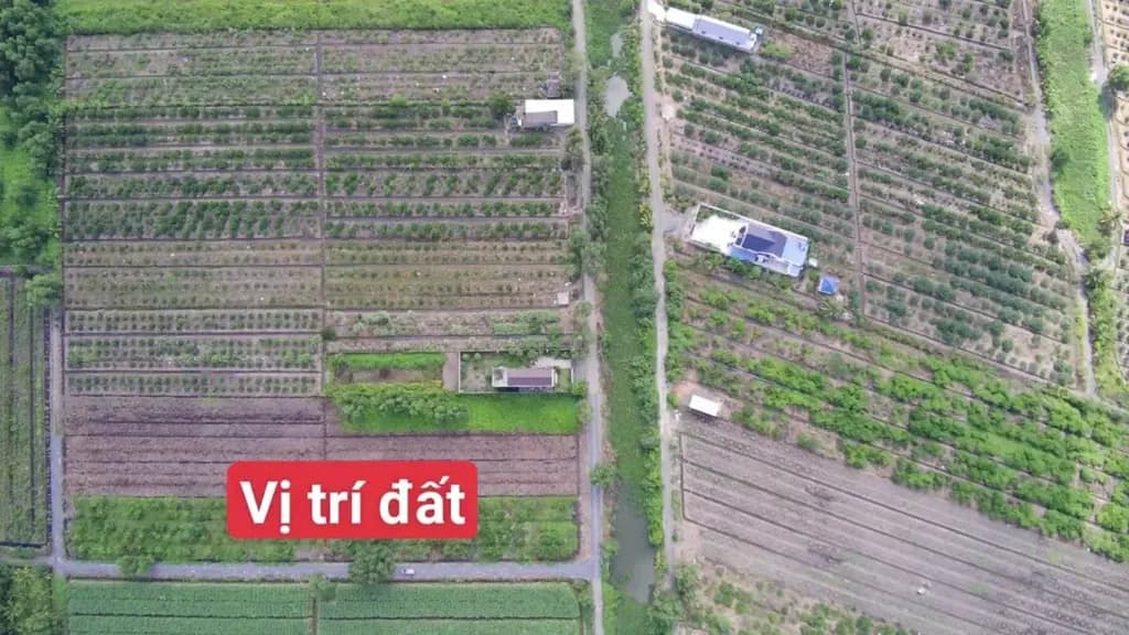 Main-Bán Đất 500m2 giá 390 triệu tại Kênh Mới Xã Thạnh Lợi Huyện Bến Lức Long An-2