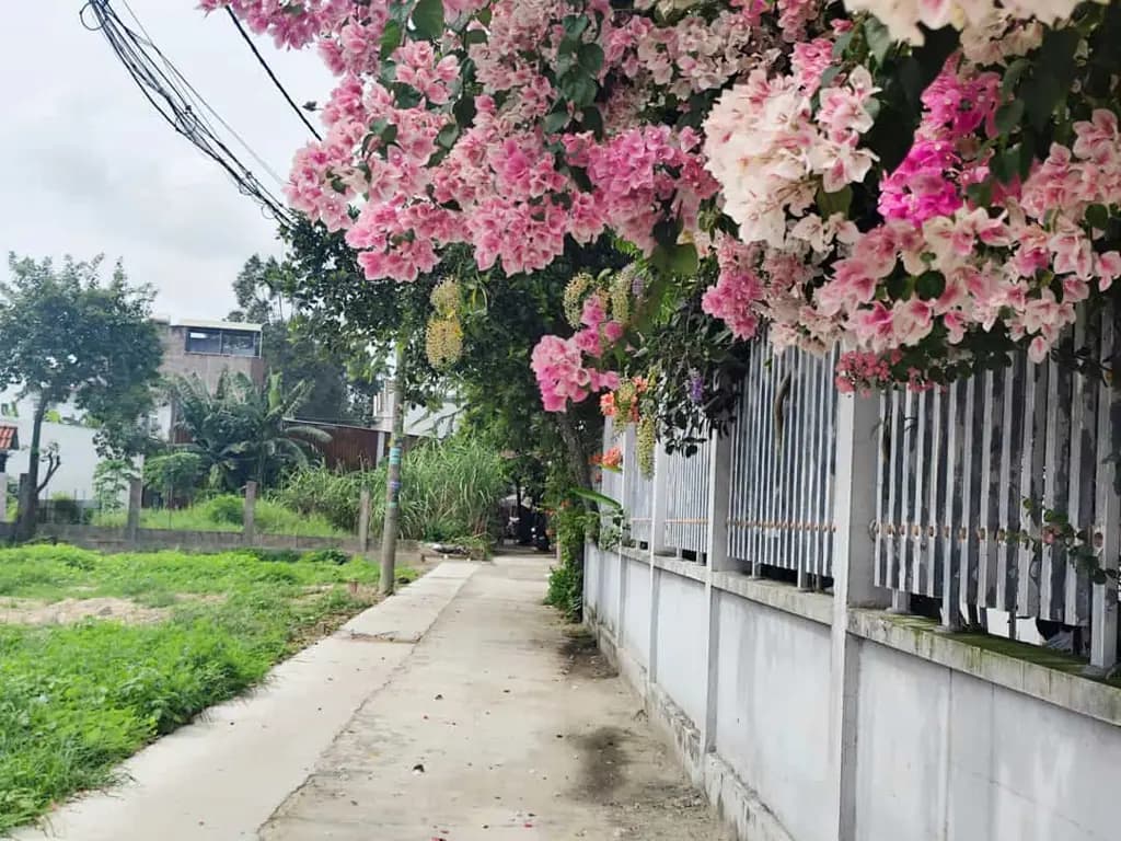Main-Lô đất Nguyễn Thị Thử, 2 mặt tiền 5,5x18m xã XTS, Hóc Môn, Giá 2,75 Tỷ-1