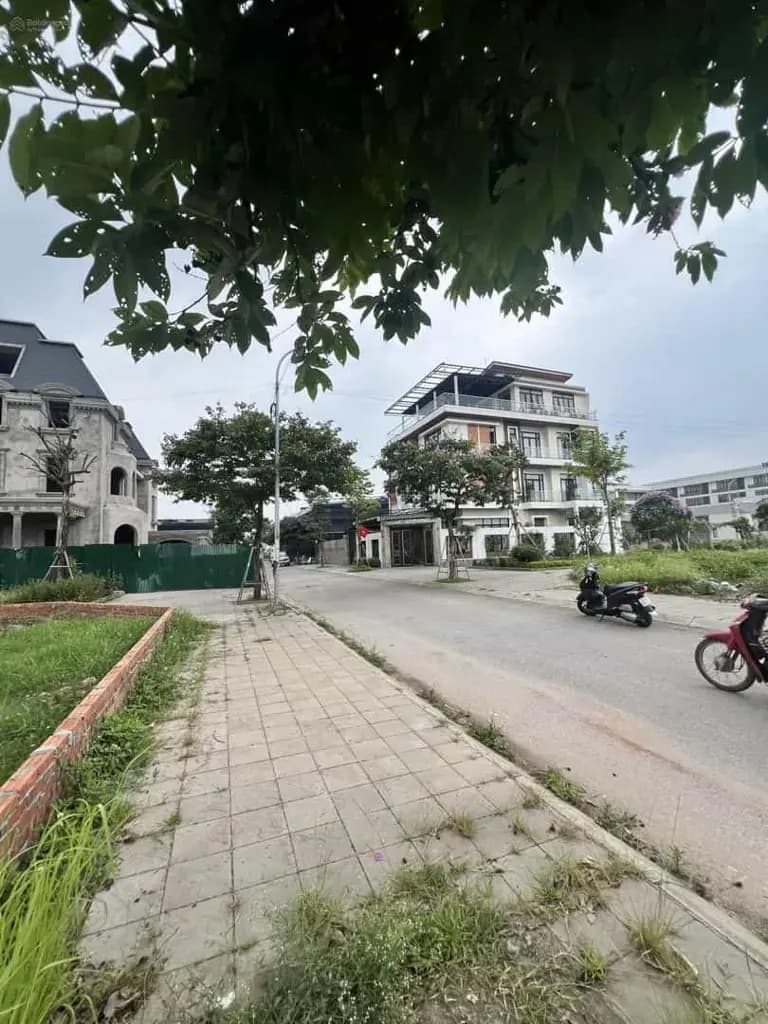 Main-Bán gấp: lô góc 224m2 đất đấu giá Hàn Lạc, Phú Thị, Gia Lâm đường 15m thông các ngả-0