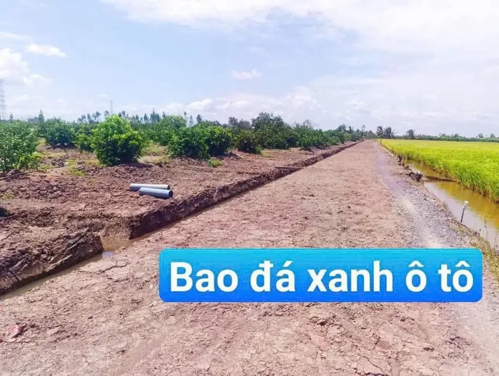 Main-Bán Đất 500m2 đường ô tô giá rẽ - chỉ giá 295tr tại Xã Long Hiệp Huyện Bến Lức Long An-2