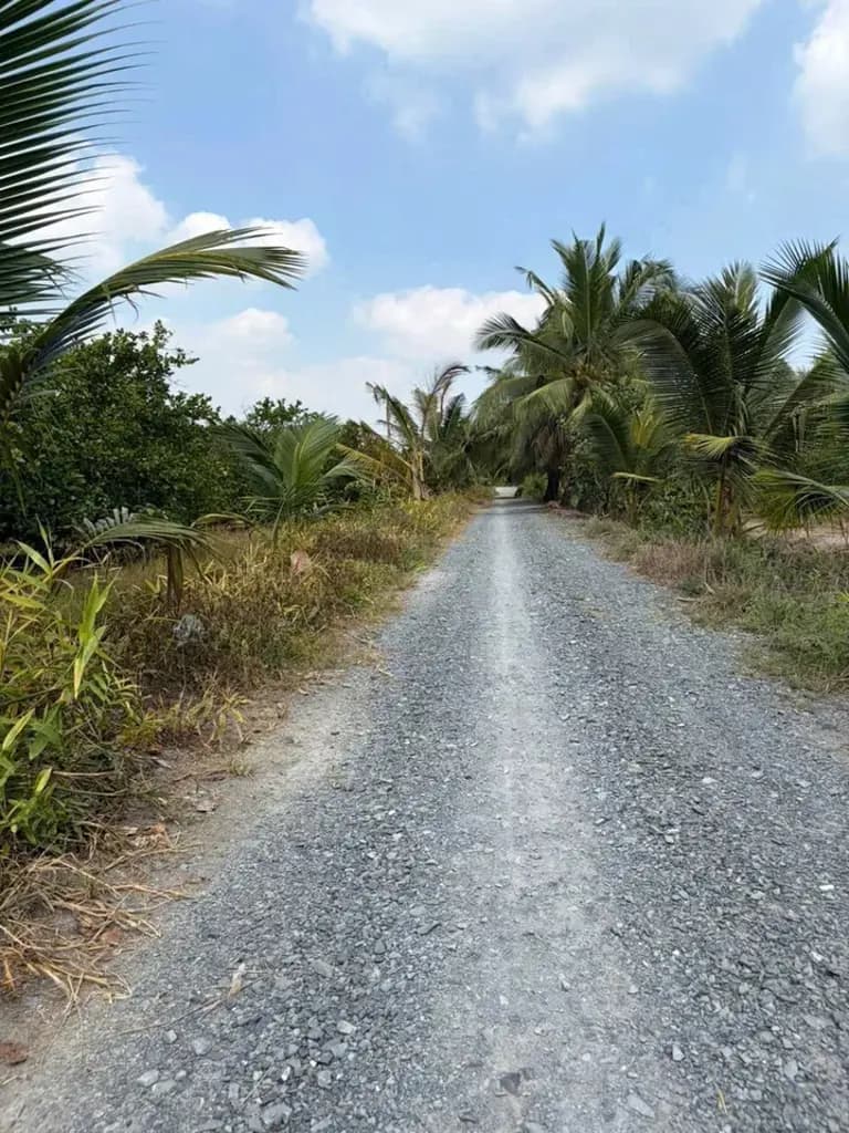 Main-Bán Đất 1000m2 giá 450 triệu tại - Chọn - Xã Bình Đức Huyện Bến Lức Long An-2