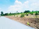 Thumb-Bán Đất vườn 500m2 sát nhựa - xe tải giá 760 triệu tại Xã Thạnh Hòa Huyện Bến Lức Long An-3