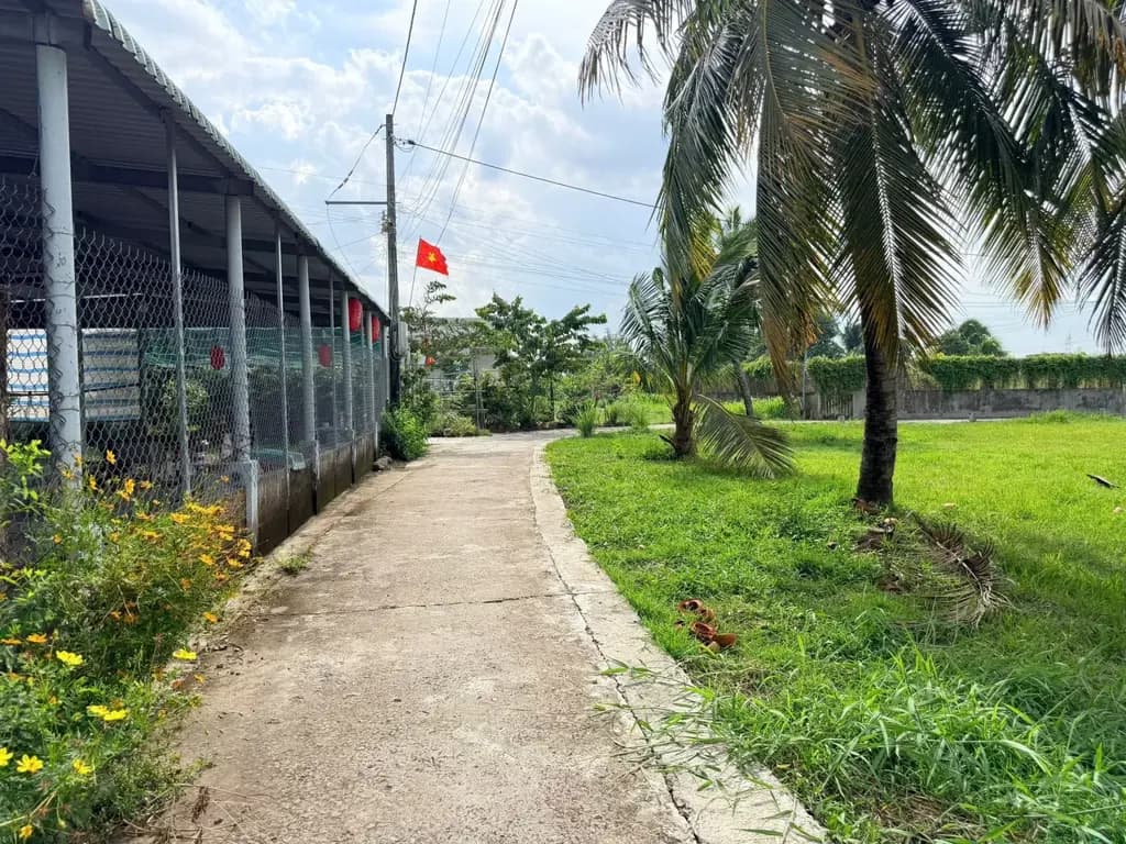 Main-Bán 50m2 thổ cư 230triệu, đường xe hơi - tại Xã Quê Mỹ Thạnh Huyện Tân Trụ, Long An-4