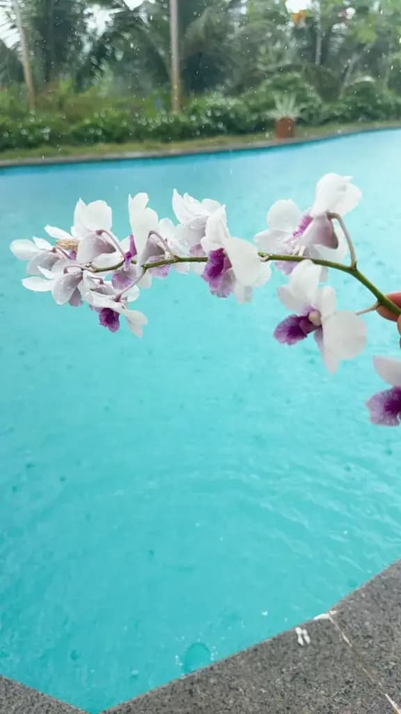 Bán Khách sạn 5000m2 có sẵn 100 m2 thổ cư giá 33 tỷ tại Khu nghỉ dưỡng resort - Chọn - Xã Hồ Tràm TP. Hồ Chí Minh