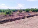 Thumb-Bán Đất 500m2 đường ô tô giá rẽ - chỉ giá 295tr tại Xã Long Hiệp Huyện Bến Lức Long An-4