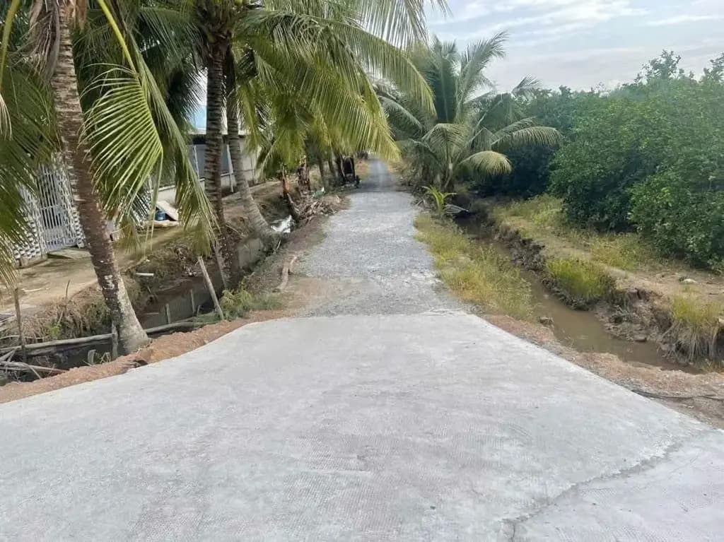 Main-Bán Đất 1000m2 giá 450 triệu tại - Chọn - Xã Bình Đức Huyện Bến Lức Long An-0