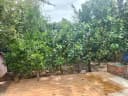 Thumb-Nhà vườn nguyên căn Tổng diện tích 400m2, diện tích xây nhà 150m2-4