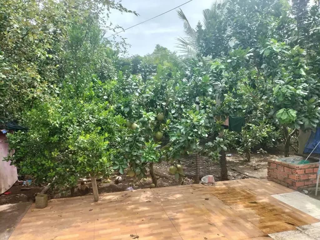 Main-Nhà vườn nguyên căn Tổng diện tích 400m2, diện tích xây nhà 150m2-3