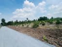 Thumb-Bán Đất 500m2 giá 760 triệu tại Xã Thạnh Hòa Huyện Bến Lức Long An-4