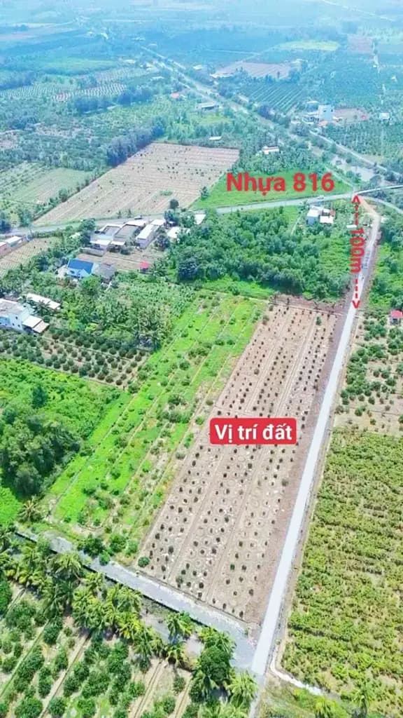 Main-Bán Đất vườn 500m2 sát nhựa - xe tải giá 760 triệu tại Xã Thạnh Hòa Huyện Bến Lức Long An-1