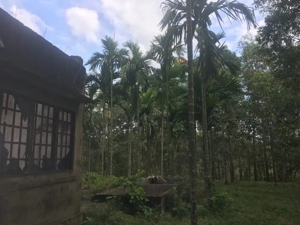 Main-Bán đất 7695m² ngang 27m giá 27 tỷ tại Xã Phước Khánh Huyện Nhơn Trạch-0