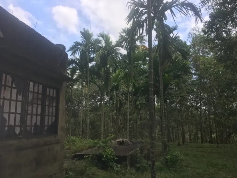 Bán đất 7695m² ngang 27m giá 27 tỷ tại Xã Phước Khánh Huyện Nhơn Trạch