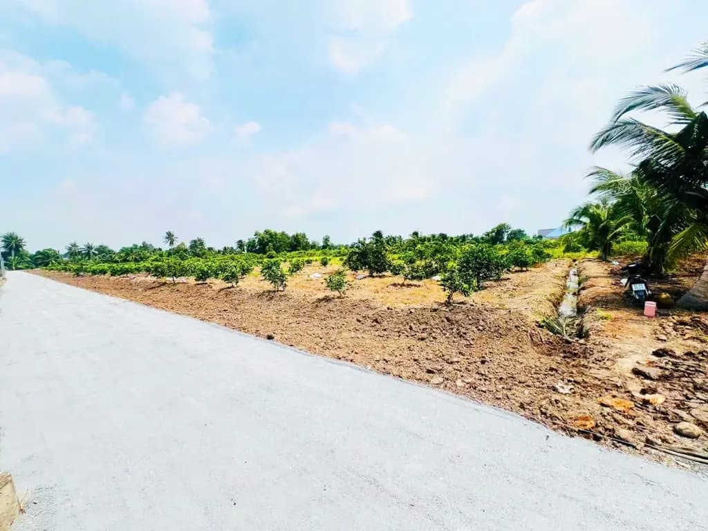 Main-Bán Đất vườn 500m2 sát nhựa - xe tải giá 760 triệu tại Xã Thạnh Hòa Huyện Bến Lức Long An-3