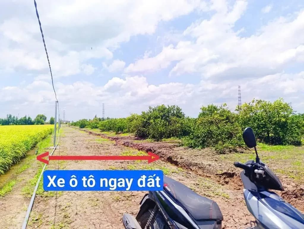 Main-Bán Đất 500m2 đường ô tô giá rẽ - chỉ giá 295tr tại Xã Long Hiệp Huyện Bến Lức Long An-1