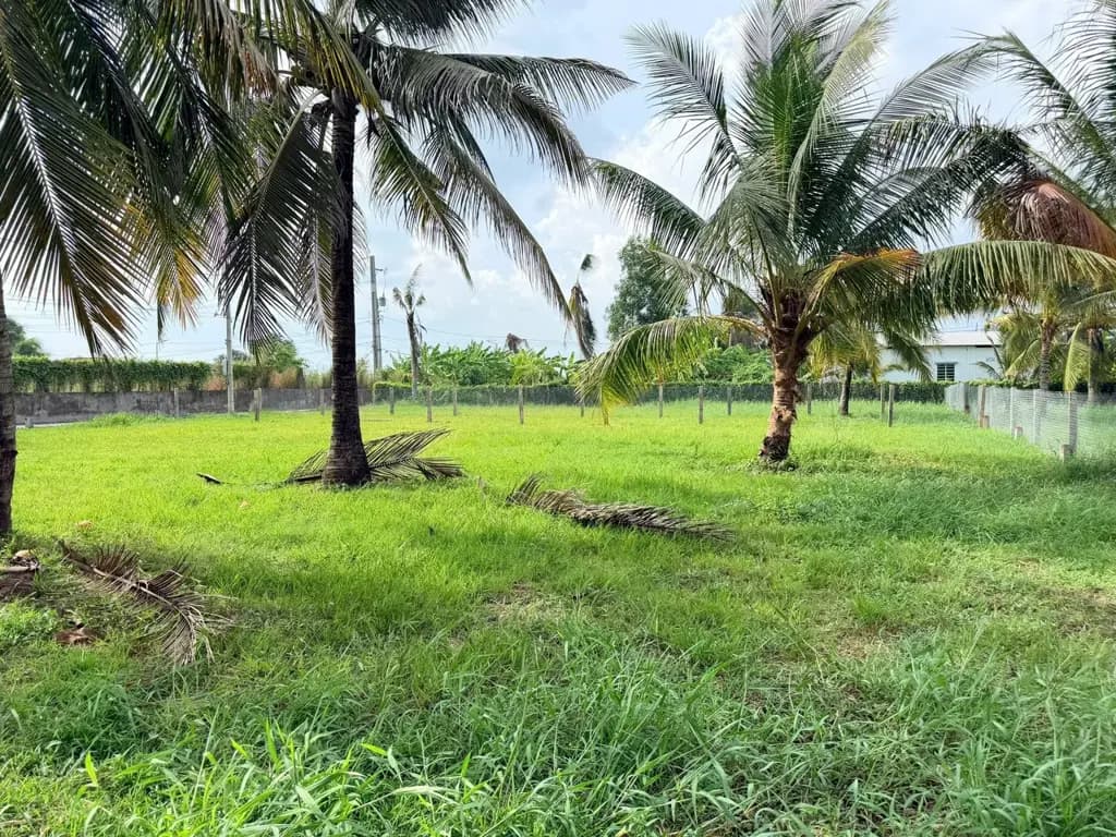 Main-Bán 50m2 thổ cư 230triệu, đường xe hơi - tại Xã Quê Mỹ Thạnh Huyện Tân Trụ, Long An-1