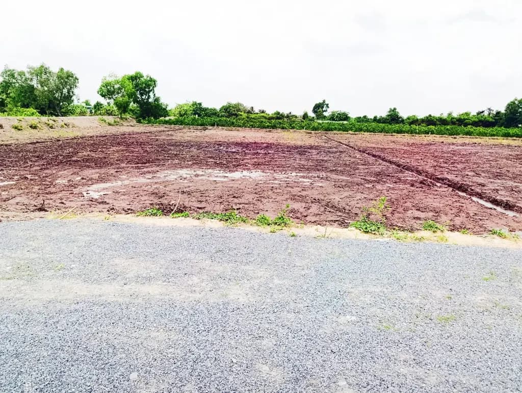 Main-Bán Lô Gốc Đất vườn 2 MT Sông Vàm Cỏ Đông 2570m2 giá 4.2 tỷ tại Xã Thạnh Lợi Huyện Bến Lức Long An-5