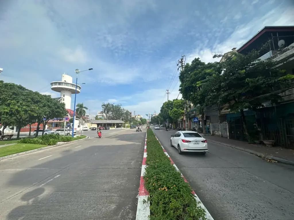 Main-Bán Nhà riêng 80m2 có sẵn 80 m2 thổ cư giá 9 tỷ tại Đường Bùi Thị Xuân Phường Lê Thanh Nghị Thành phố Hải Dương Hải Dương-4
