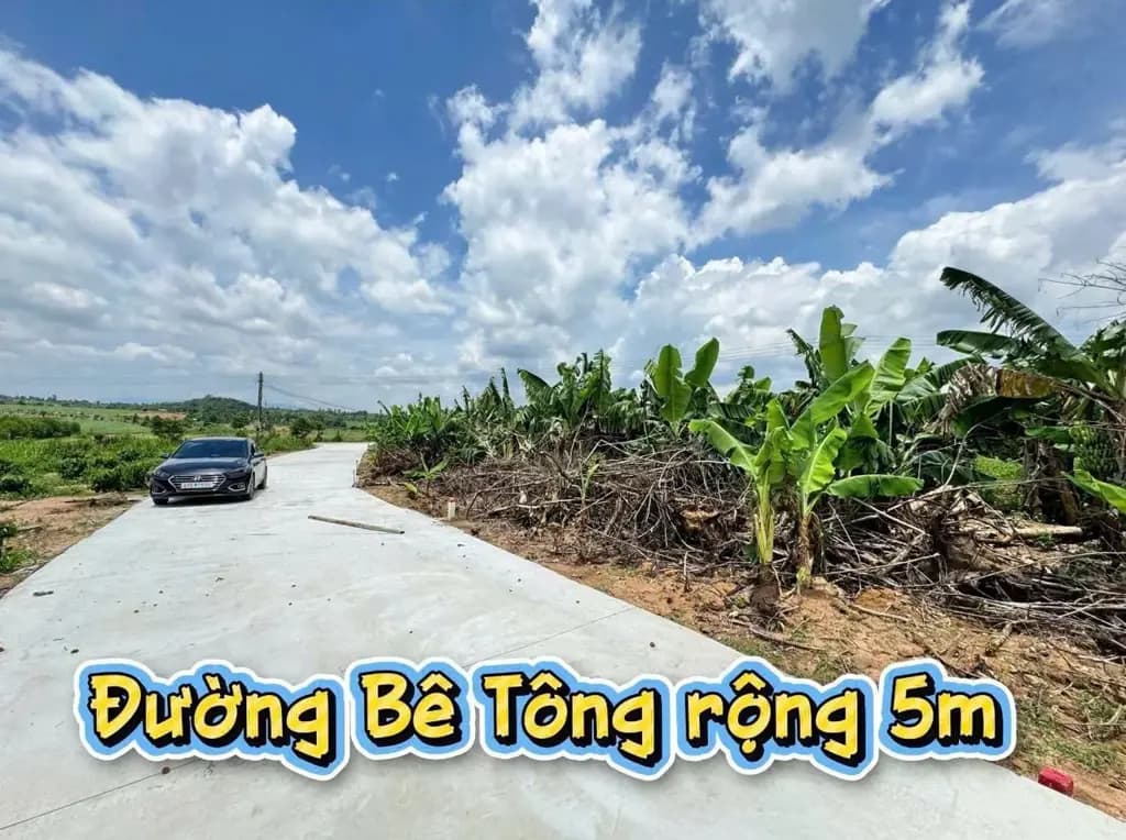 Main-📢 Cần bán lô đất giá tốt ✅ Diện tích: 6m x 29m ✅ Thổ cư 100% ✅ Đường bê tông, giao thông thuận tiện ✅ Pháp lý đầy đủ, sổ sẵn - công chứng ngay-7