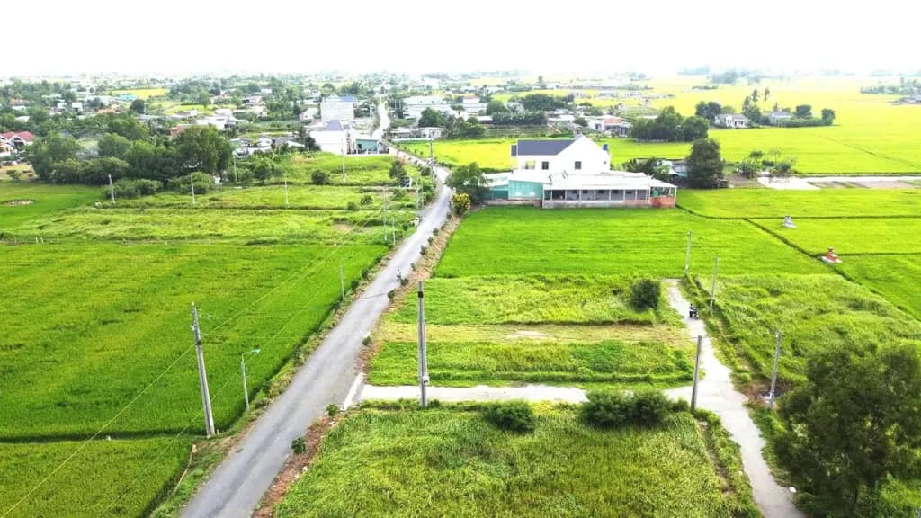 Main-Bán Đất 150m2 có sẵn 150 m2 thổ cư giá 1.65 tỷ tại - Chọn - Xã Mỹ Lệ Huyện Cần Đước Long An-6