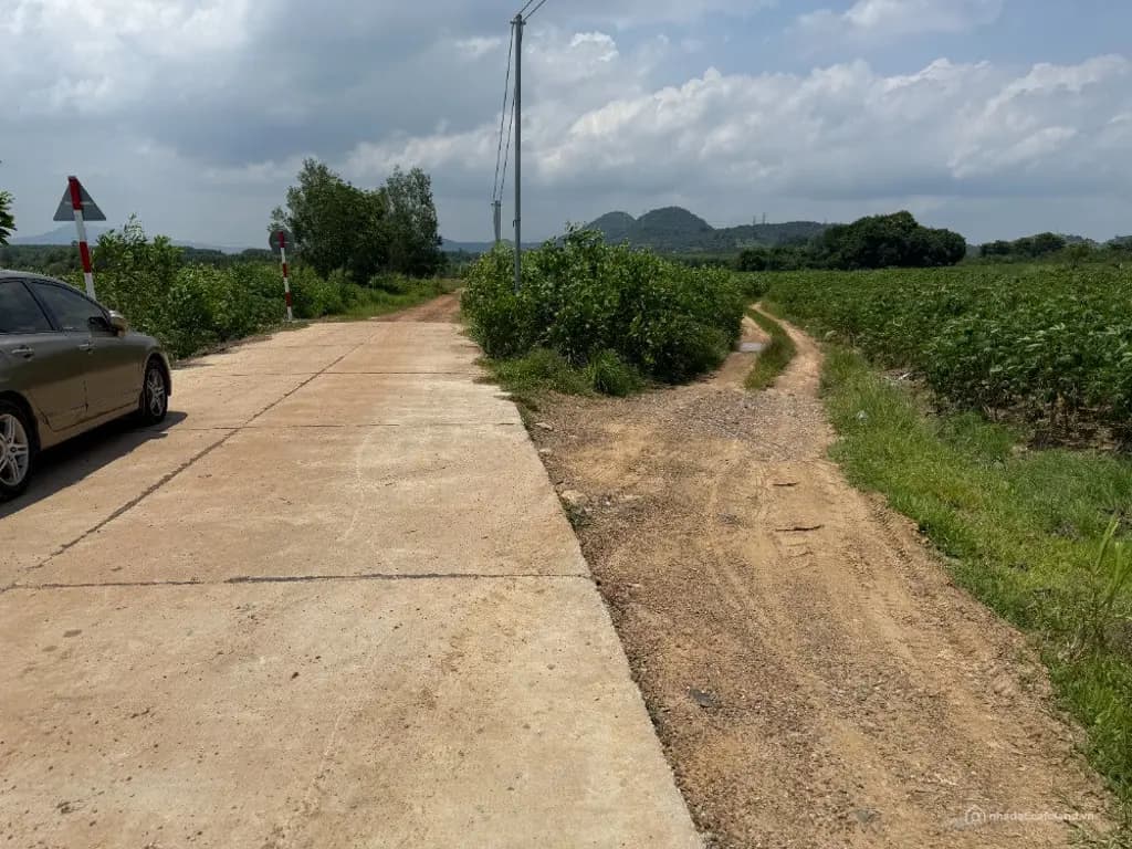 Main-CHỈ 800 TRIỆU - KHOẢNG 9.000M² ĐẤT TÂN MINH - LÂM ĐỒNG-3