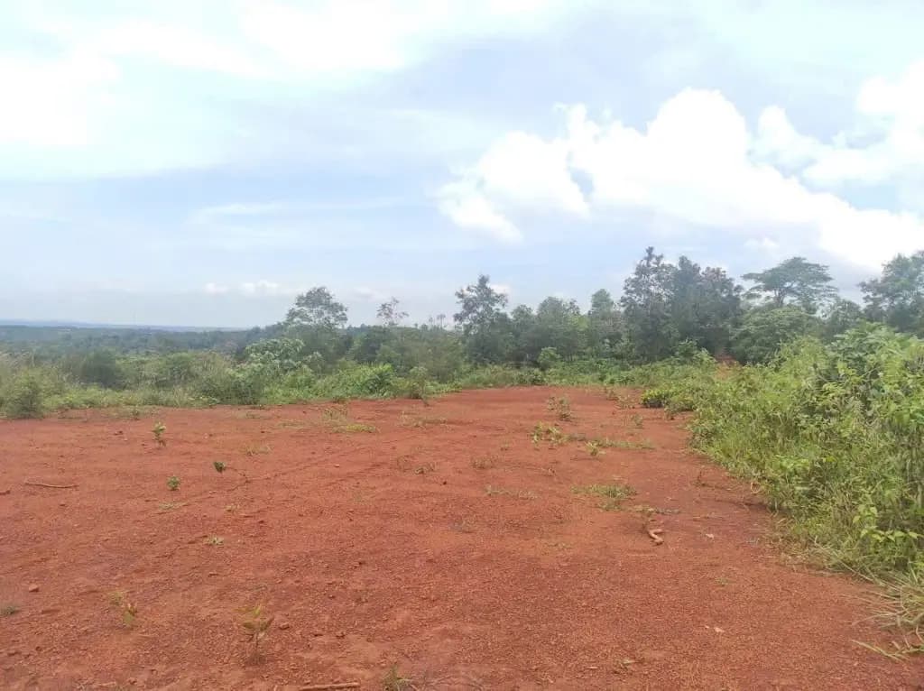 Main-Bán đất 1000m² ngang 21m giá 349 triệu tại Xã Tam Giang-0
