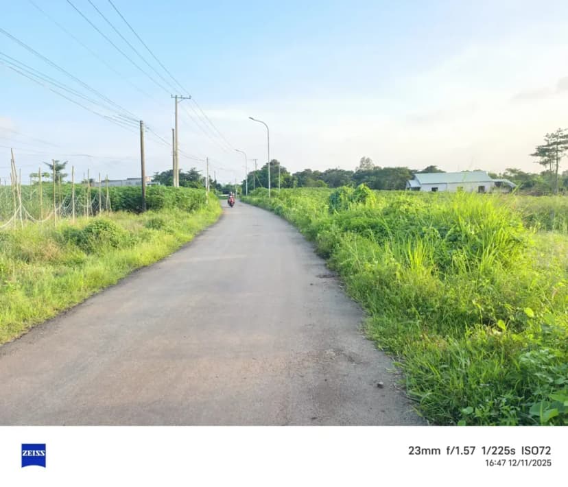 Gần 1 xào phủ hồng 80tc Đá Bạc