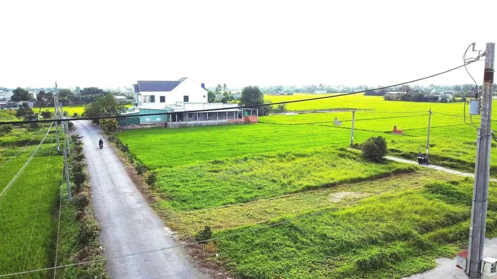 Main-Bán Đất 150m2 có sẵn 150 m2 thổ cư giá 1.65 tỷ tại - Chọn - Xã Mỹ Lệ Huyện Cần Đước Long An-8