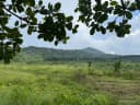 Thumb-CHỈ 800 TRIỆU - KHOẢNG 9.000M² ĐẤT TÂN MINH - LÂM ĐỒNG-1