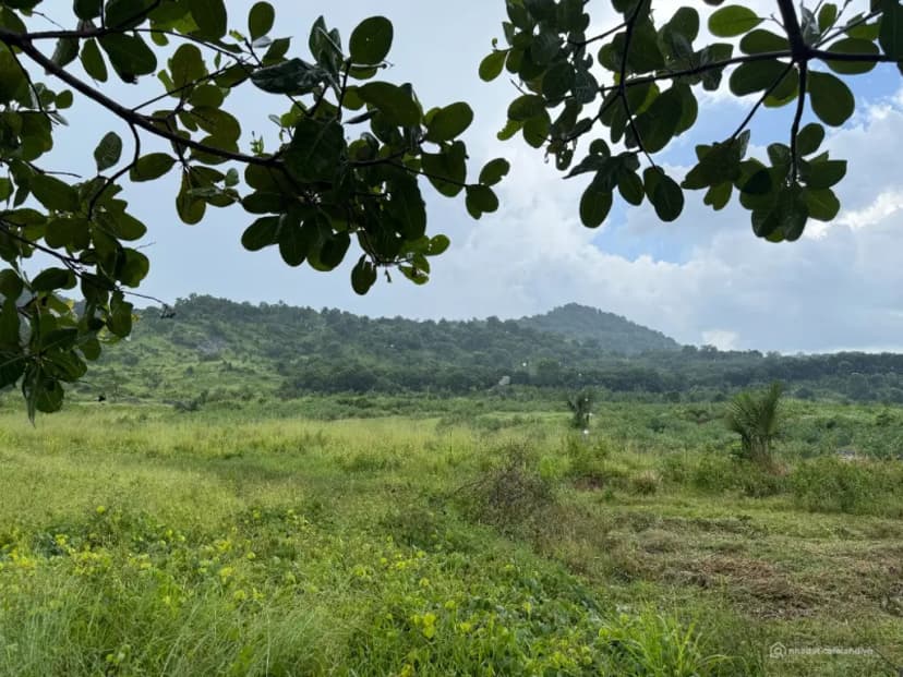 CHỈ 800 TRIỆU - KHOẢNG 9.000M² ĐẤT TÂN MINH - LÂM ĐỒNG