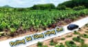 Thumb-📢 Cần bán lô đất giá tốt ✅ Diện tích: 6m x 29m ✅ Thổ cư 100% ✅ Đường bê tông, giao thông thuận tiện ✅ Pháp lý đầy đủ, sổ sẵn - công chứng ngay-9