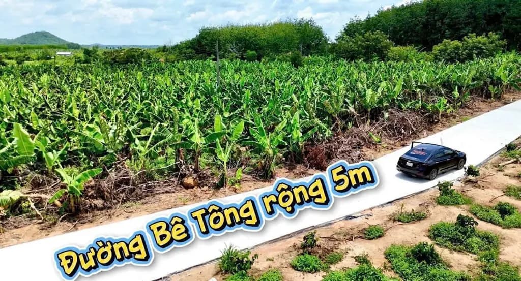 Main-📢 Cần bán lô đất giá tốt ✅ Diện tích: 6m x 29m ✅ Thổ cư 100% ✅ Đường bê tông, giao thông thuận tiện ✅ Pháp lý đầy đủ, sổ sẵn - công chứng ngay-8
