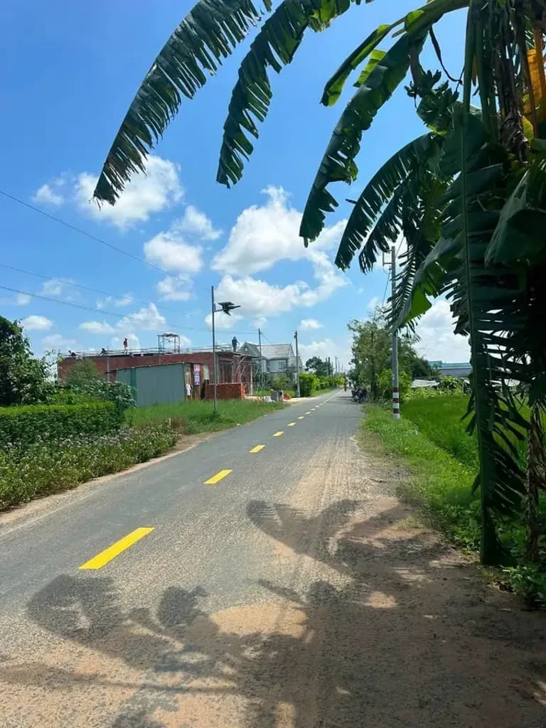 Main-Bán Đất 150m2 có sẵn 150 m2 thổ cư giá 1.65 tỷ tại - Chọn - Xã Mỹ Lệ Huyện Cần Đước Long An-2
