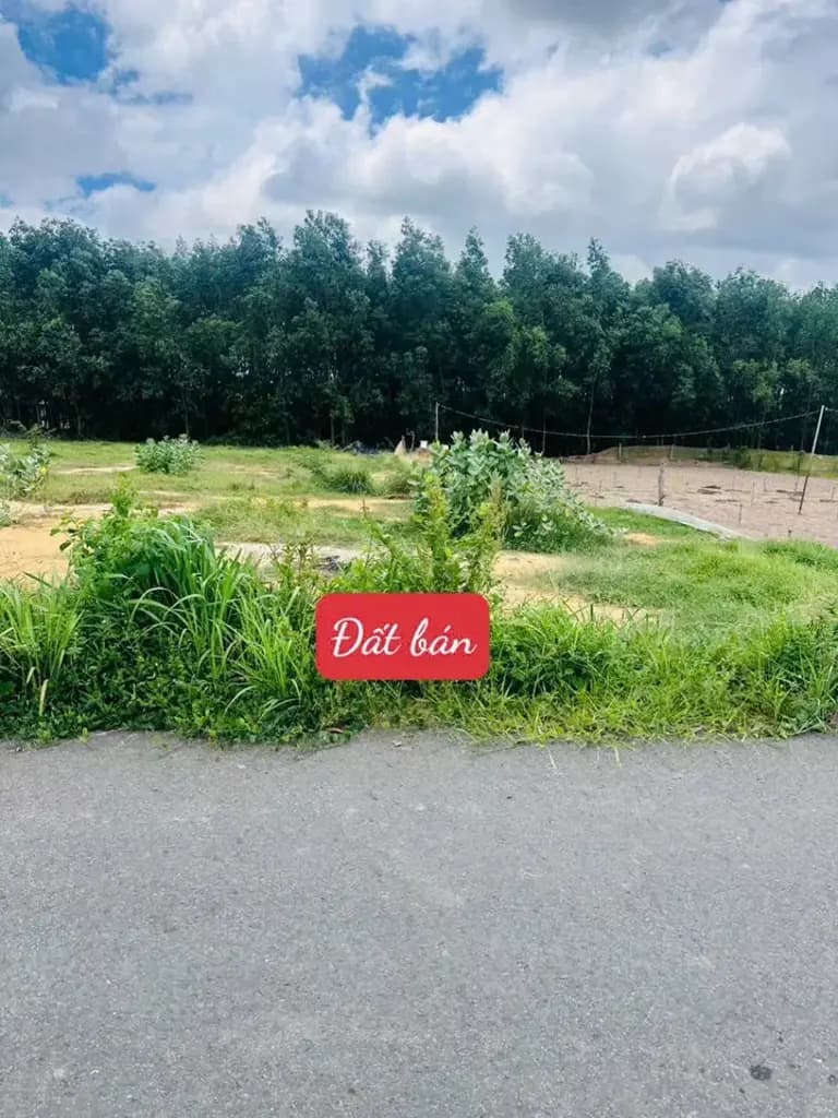 Main-KẸT TIỀN BÁN GẤP 436M2, THỔ CƯ 200M, KẾ BÊN TRƯỜNG HỌC, CHỢ, CÔNG VIÊN, GIÁ 520 TRIỆU, SHR.-2