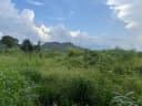 Thumb-CHỈ 800 TRIỆU - KHOẢNG 9.000M² ĐẤT TÂN MINH - LÂM ĐỒNG-3