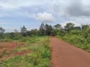 Thumb-Bán đất 1000m² ngang 21m giá 349 triệu tại Xã Tam Giang-2