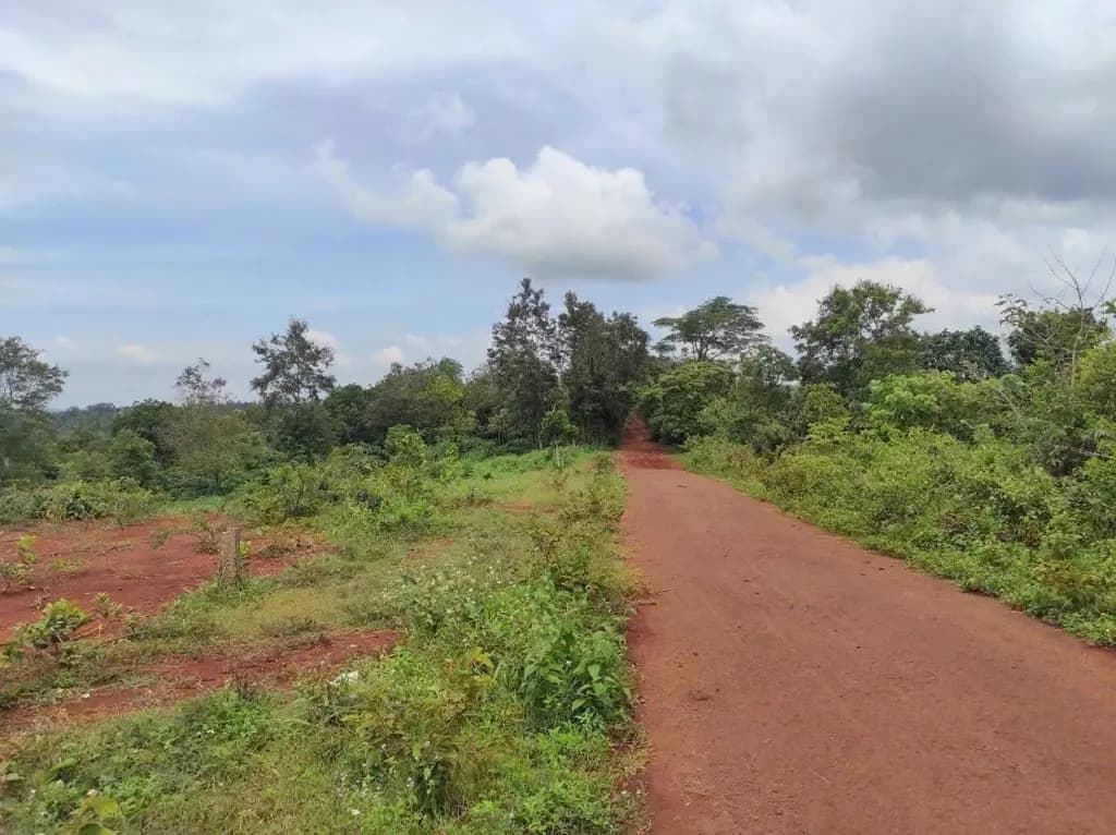 Main-Bán đất 1000m² ngang 21m giá 349 triệu tại Xã Tam Giang-1