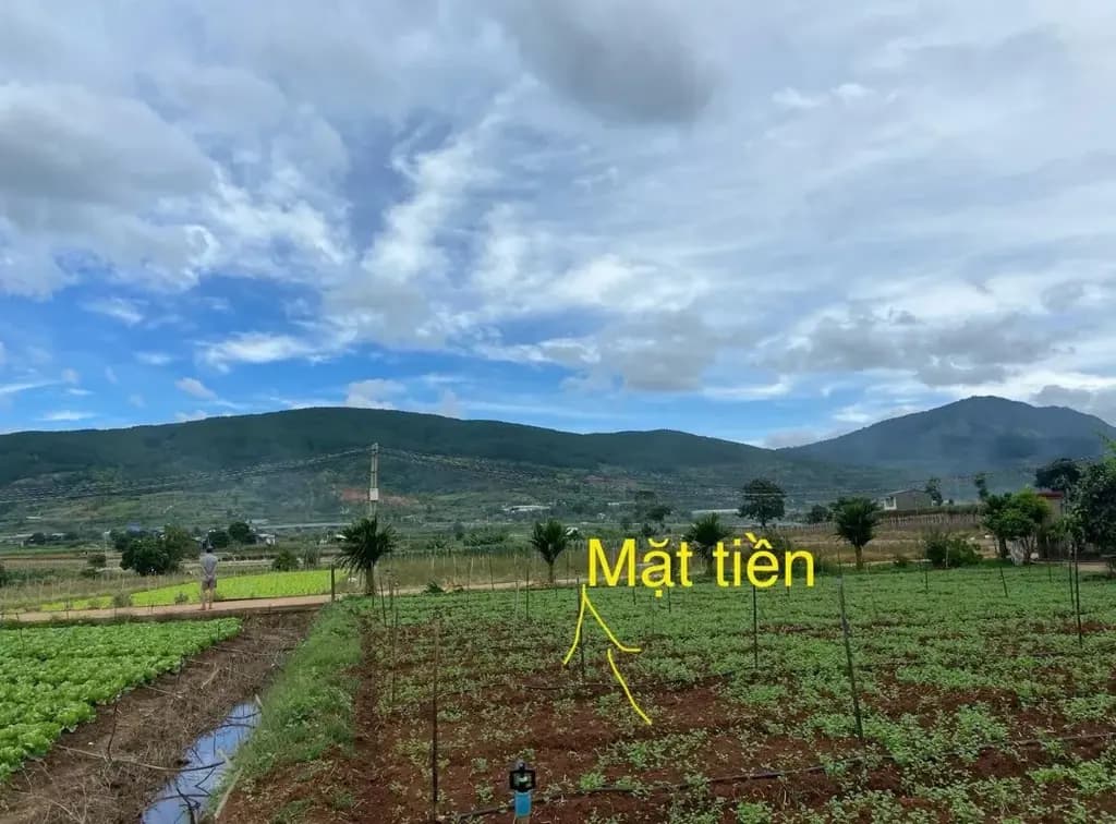 Main-Lô đất 2 mặt tiền, 7phút từ sân bay Liên Khương, 1189m2.-3