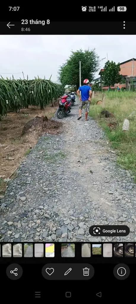 Cần tiền bán gấp 2 lô đất vườn giá rẻ.