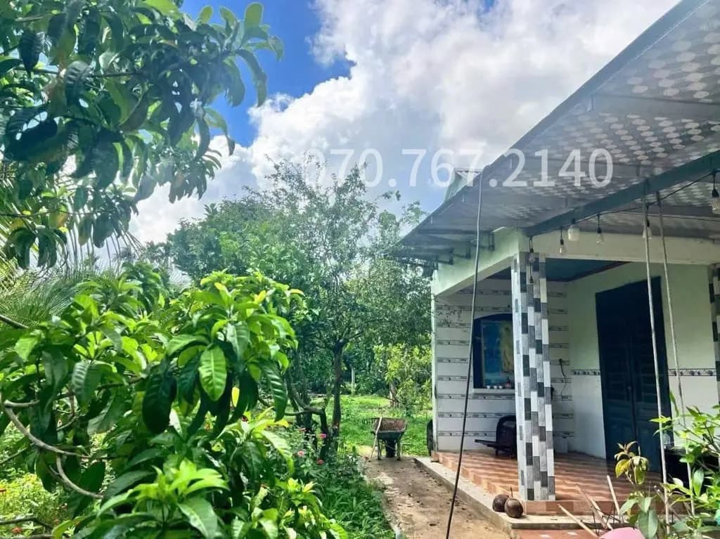 Main-CHÚ 2 CẦN BÁN GẤP NHÀ VƯỜN, CÂY TRÁI-2