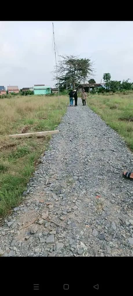 Main-Cần tiền bán gấp 2 lô đất vườn giá rẻ.-5