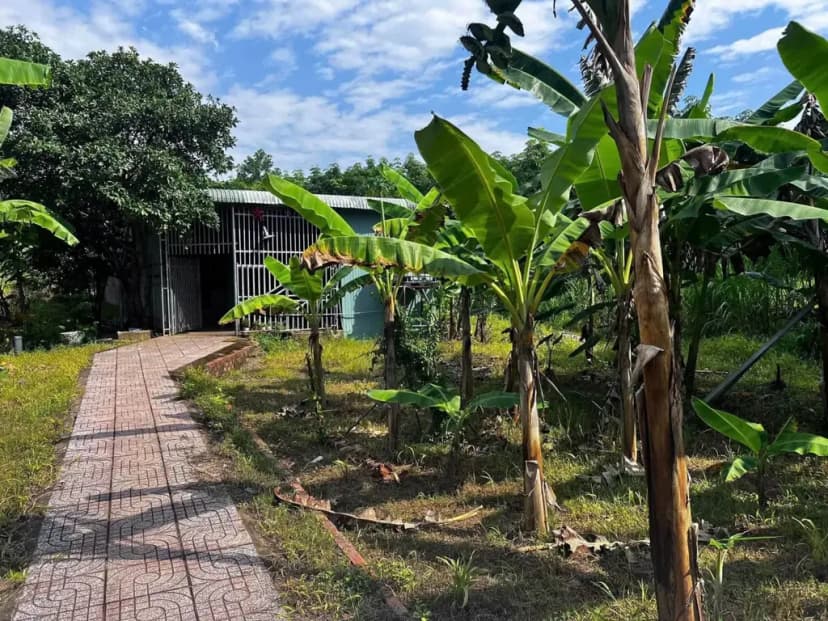 Bán vườn cây ăn trái 1000m2 /275tr sổ riêng đường oto